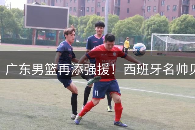 广东男篮再添强援！西班牙名帅贝罗卡尔加盟教练组